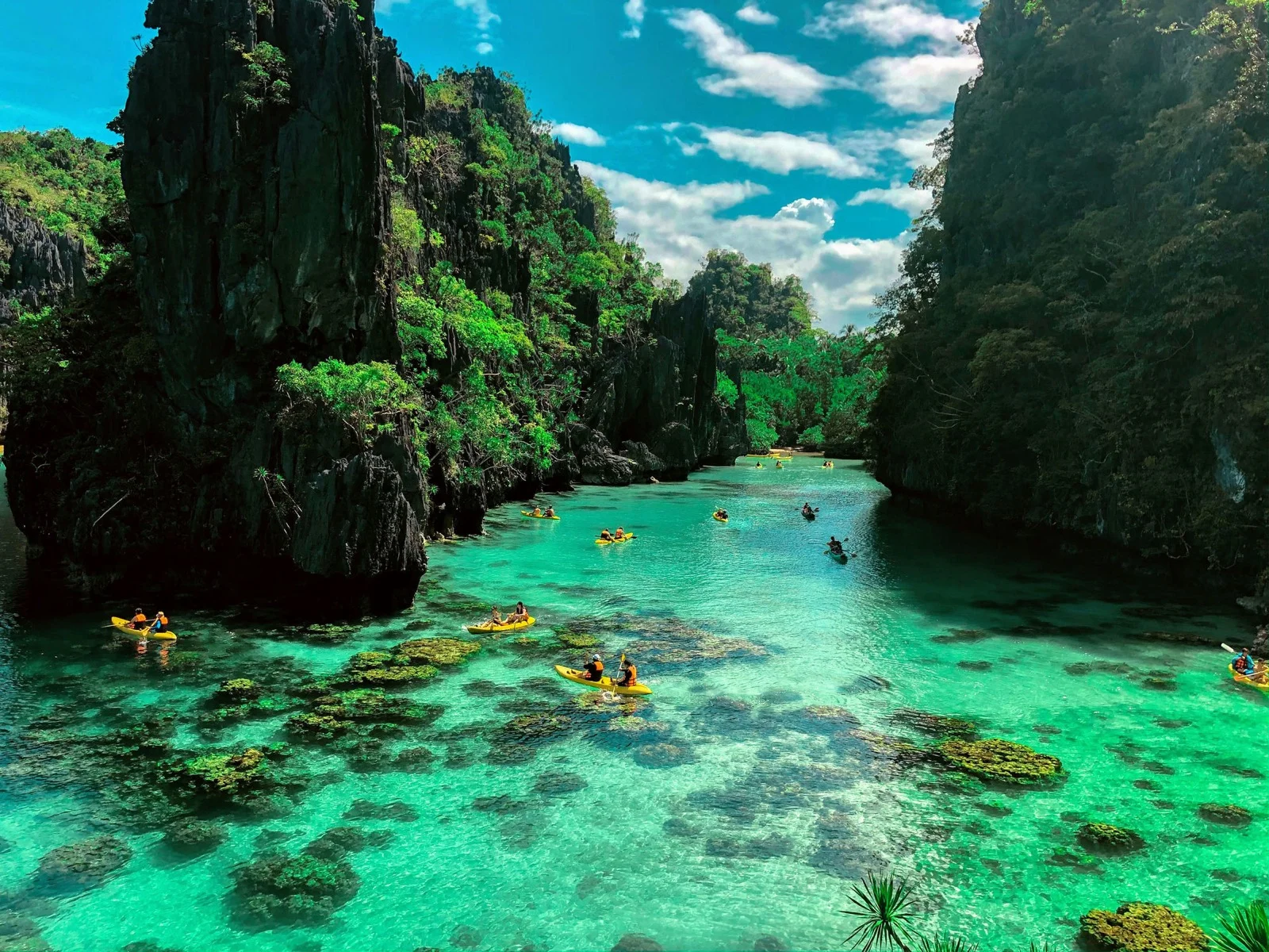 Philippines, Palawan & the Visayas