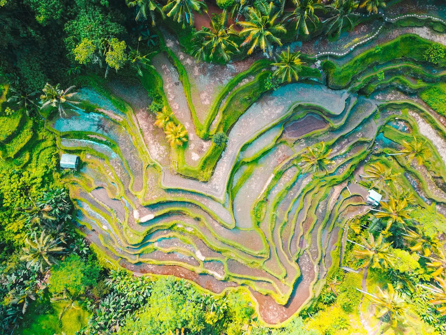 Ubud, Bali
